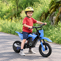Valtinsu 36V 500W 20Km Max Range Youth Park Recreation Electric Motorcycle Small Pit Bike