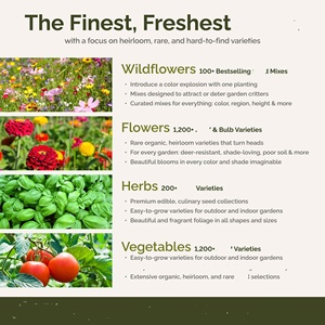 Kit de jardin de maison d'été sans fin sac de paquet de fleurs pour la plantation de printemps et d'automne <span class=keywords><strong>Pot</strong></span> de succession <span class=keywords><strong>vivace</strong></span> suspendu à utiliser sur les sols - Product Image 4