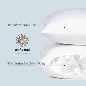 Almohada de plumón de ganso/pato blanco lavado, cojín de inserción interior para Hotel y hogar, usado, venta al por mayor - Product Image 2