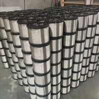 Fil de fer noir recuit de haute qualité, fabriqué en Chine, pour la liaison de matériaux bruts, en bobine
