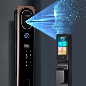 Daire ev odası dijital şifre anahtarsız giriş Tuya APP kontrol parmak izi yüz tanıma akıllı kapı kilidi