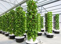 Système de culture hydroponique verticale 2024, très demandé, avec PVC de qualité alimentaire pour l'agriculture intérieure à domicile, facile à utiliser