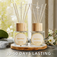 Diffuseur de parfum sur mesure OEM ODM Agrumes Côtiers 100ml Collier Argenté Parfum d'ambiance Vente en gros Longue Durée Élégant