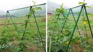 Filet de treillis en polypropylène pour serres agricoles, pour plantes, légumes, haricots et soutien des plantes - Product Image 5