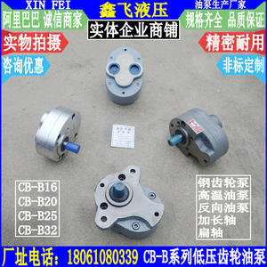 CB-B16 CB-B25 CB-B20 CB-B32ปั๊มน้ำมันเกียร์แรงดันต่ำปั๊มไฮดรอลิกและเครื่องปั้มน้ำมันสำหรับสกัดน้ำมัน - Product Image 3