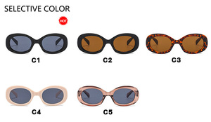 3535 Simple and Personalized Oval <b>Sunglasses</b> for Women and Men Retro Trendy Street Photography Driving Beach <b>Sunglasses</b> - Product Image 6