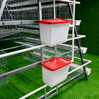 Équipements d'élevage pour poules pondeuses : Cages à poulets, cages à poules pondeuses, cages à poulets à étages de type A pour l'élevage de poulets pondeurs, équipement d'élevage avicole