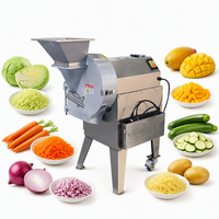 Elektrische groentesnijder, voedselverwerker voor mango, fruit, kool en wortel.