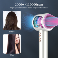 Sèche-cheveux professionnel de salon 2000W avec buse diffuseur, 110 000 tr/min, ionique, haute vitesse, moteur DC sans balais, pour usage hôtelier
