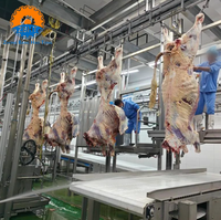 Ligne d'abattage de bovins certifiée CE, projet clé en main, équipement d'abattoir de petite taille, garantie 1 an pour l'installation d'une usine d'abattage de vaches