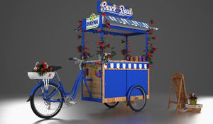 Kiosque alimentaire extérieur élégant, <span class=keywords><strong>chariot</strong></span> à snack mobile, <span class=keywords><strong>chariot</strong></span> <span class=keywords><strong>de</strong></span> nourriture <span class=keywords><strong>de</strong></span> rue avec vélo décoratif, utilisé en devanture <span class=keywords><strong>de</strong></span> magasin, centre commercial - Product Image 5