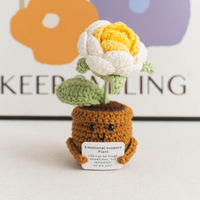 Poupée en coton tricotée à la main, motif plante, avec carte de motivation, jouet en peluche, décoration de bureau en pot pour la maison, le bureau ou comme cadeau