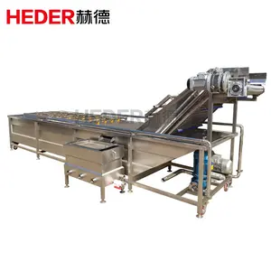 Industrial Dragon Fruit Bubble Vegetable Washing Machine With Lifter Conveyor Line
