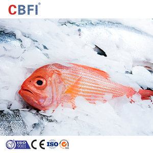 CBFI 3000kg/día Máquina de hielo en escamas Fabricante Máquina de escamas de hielo Máquina comercial de escamas de hielo de nieve Refrigeración por agua - Product Image 6