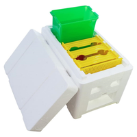 Mini boîte NUC d'accouplement reine des abeilles élevage boîte en plastique mousse de styrène