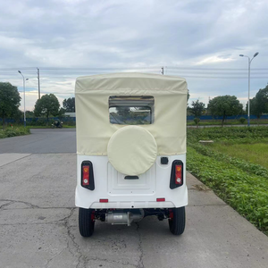 Tricycle Can Carry 6 People Motorized Adult E-rickshaw for <b>Passenger</b> - Product Image 6