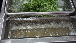 WASC-10 thương mại Nhà Hàng đa chức năng Rau Trái Cây Bong Bóng siêu âm Ozone kết hợp máy giặt cho anh đào bắp cải - Product Image 2