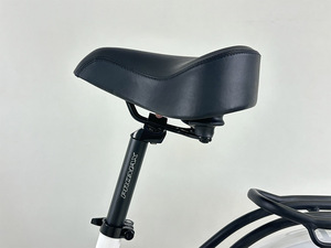 <span class=keywords><strong>Prix</strong></span> direct usine : Vélo électrique urbain pour <span class=keywords><strong>femme</strong></span> 48V 15Ah 750W, frein à disque mécanique (personnalisation disponible) - Product Image 5