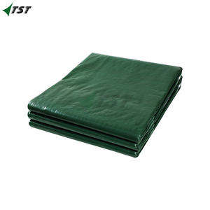 Lona Impermeable Exterior 3x3m 180g Lona de Proteccion Toldo Reforzado PE con Ojales/configurador lonas para remolque - Product Image 5