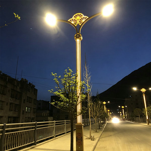 Manufacturer AC 220V 10% Remote Control IP65 6-12M Outdoor Road Lamp <b>Post</b> Led <b>Lights</b> Landscape Street <b>Light</b> 10-Year Warranty - Product Image 5
