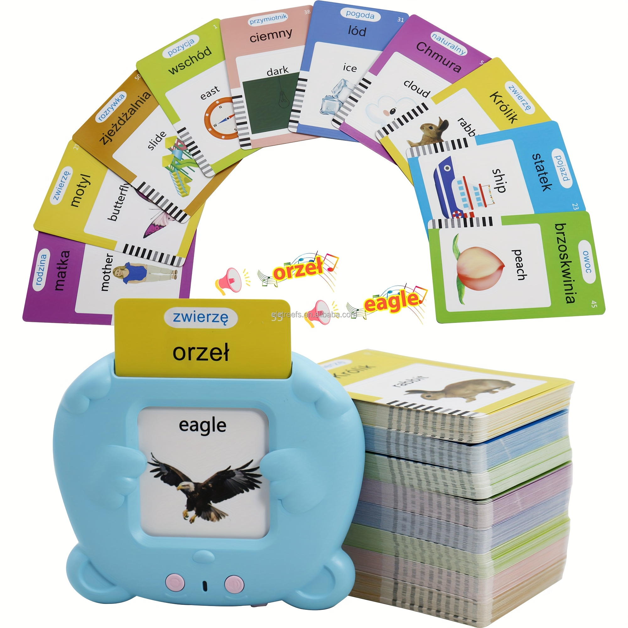 Polish flash card toy