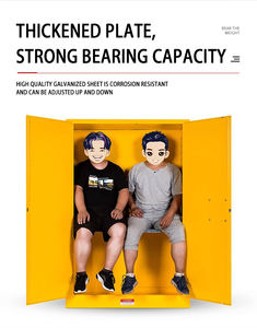 2 שכבה ארון מעבדה חסין בפני פיצוץ שכבה עם חומצה מדף מתכווננת ואלון גלון אלקלי - Product Image 3