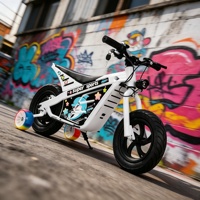 Motocicleta Eléctrica para Niños con Certificación CE, Batería de Litio, Motocross Eléctrica para Niños, Limitador de Velocidad de Seguridad, Motocross Eléctrica Deportiva para Exteriores