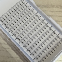 Extensions de cils noirs foncés 0,07 0,10 mm, courbures C D CC DD, tiges courtes, 2D 3D 4D 5D 6D 7D, cils pré-faits en éventail, fournisseur