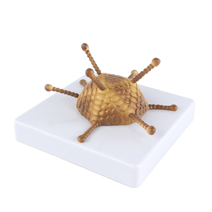 Modello di struttura Adenovirus modello di struttura dell'adenovirus di insegnamento di biologia delle scuole superiori - Product Image 1