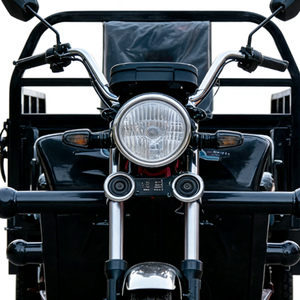 Op maat gemaakte open zwarte vetbanden onderdelen 1000W <span class=keywords><strong>3</strong></span>-wiel motorfietsen elektrische motorfiets vrachtwagen vrachtbezorging driewieler voor volwassenen - Product Image 5