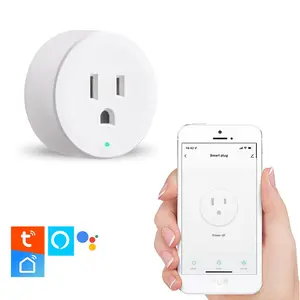 Mini Remote Control Outlet Plug Adapter with Smart Switch Long Range for Indoor Lamps and Household Appliances, No Hub Required