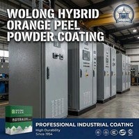 Wolong Hibrit Epoksi-Polyester Portakal Kabuğu Toz Boya Sprey Cilası, Donanım Cihazı Şasi Dolabı için