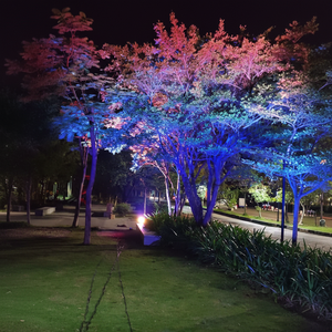 ไฟย้อมสีกันน้ำ IP65 สำหรับตกแต่งต้นไม้ในเทศกาลและไฟส่องสว่างในสวนสาธารณะ - Product Image 1