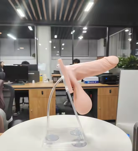 Medizinisches Lehrmodell für Familienplanung, Studenten, Ärzte, Lehrer, Ausbildung, Männliches Kondom, Praxis, Anatomisch - Product Image 3