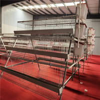 Nouvelle cage compacte pour poulets pondeuses en grillage métallique, gain de place et économie d'énergie pour élevages avicoles