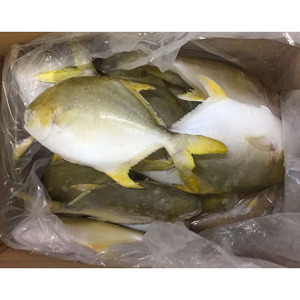 Pompano Congelado Entero IQF <span class=keywords><strong>Trachinotus</strong></span> <span class=keywords><strong>Ovatus</strong></span>, Mariscos Premium, Exportación Directa de Fábrica China, Precio al por Mayor - Product Image 1
