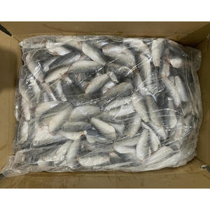 سمك الماكريل (السبيد) الكامل المجمد عالي الجودة للبيع، سمك لايانغ (السبيد) مجمد بحري - Product Image 3