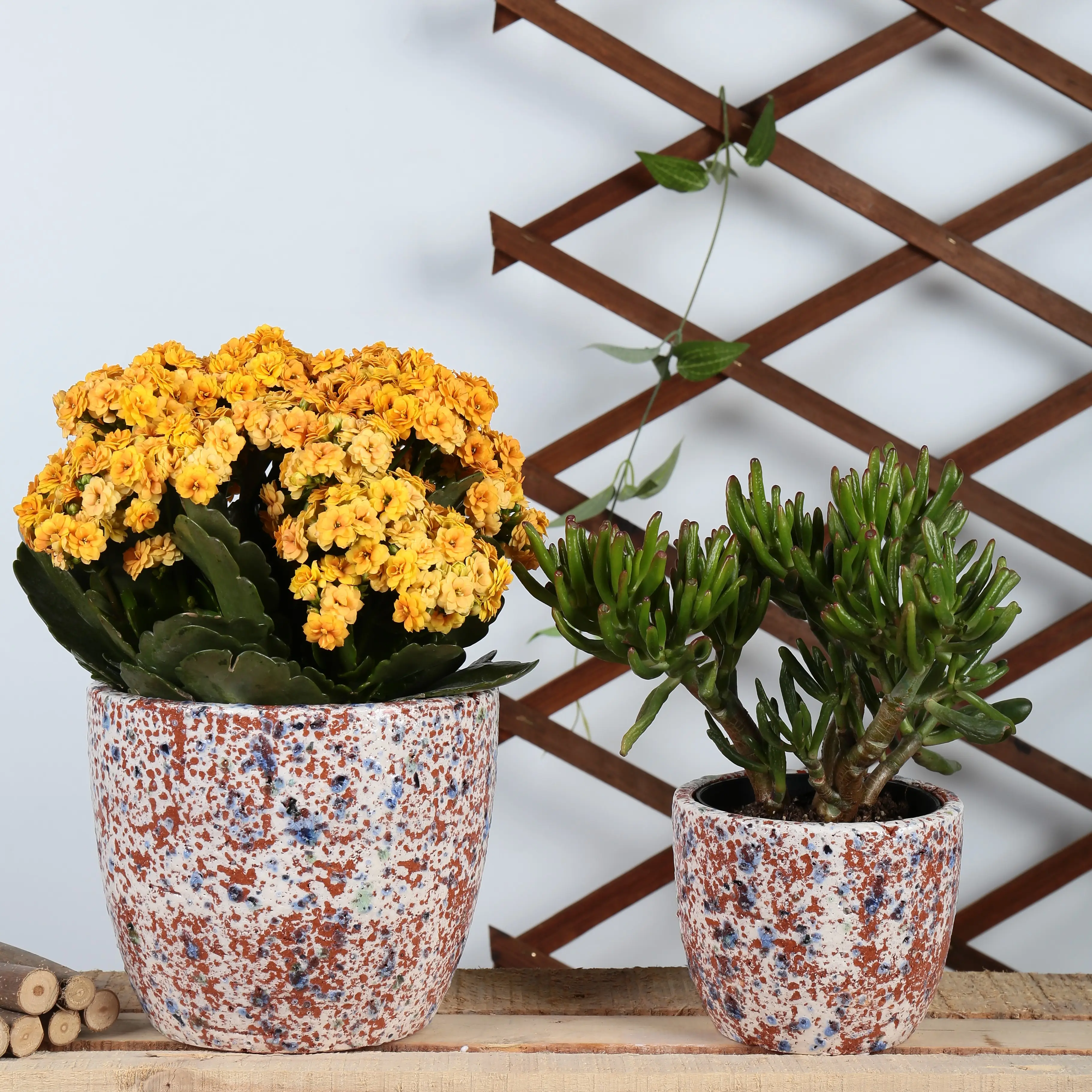 Antieke Spikkel Keramische Terracotta Klei Cactus Plantenbakken Kleur Bonsai Plant Pot