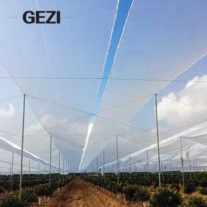 Meilleure solution pour installer une moustiquaire transparente pour couvrir les plantes de tomates dans un tunnel polyvalent - Product Image 5