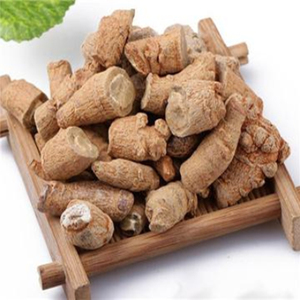 Nhà máy Ciyuan cung cấp giá sỉ, bán chạy chiết xuất bột nhân sâm Panax <span class=keywords><strong>Notoginseng</strong></span> - Product Image 6