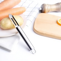 Éplucheur manuel multifonctionnel en acier inoxydable, éplucheur à pommes, couteau à éplucher les pommes de terre, éplucheur à melon, petit outil de cuisine