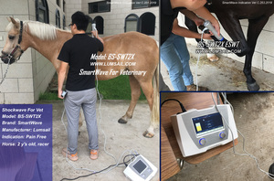 Appareils de thérapie par ondes de choc Focus pour la physiothérapie <span class=keywords><strong>et</strong></span> le bien-être de la santé - Product Image 4