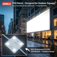 Module LED SMD étanche IP67 haute luminosité pour extérieur, guirlande lumineuse en chaîne pour festivals et décoration de bâtiments