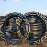 Tuyau d'irrigation en HDPE PE100 PN16 DN32 à DN150, longueur 1000 m, pour l'approvisionnement en eau agricole