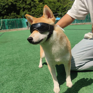 Lunettes de soleil pour chien de petite race, lunettes de protection UV pour chien de taille moyenne - Product Image 3