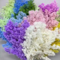 Liviflo Cadeau pour invités Mariage Plante naturelle véritable Fleur stabilisée Pin de Penglai - Décoration Fête des Mères, Saint-Valentin, Noël et Pâques