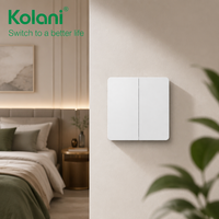Interruptor de Pared Kolani Estándar Británico 2G2W 90x86mm Blanco Mate, Interruptor de 2 Vías y 2 Botones, 10AX 250V, Panel de PC