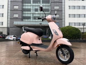 Trottinette Électrique Sans Balais 1000W, 45km/h, Design Tendance pour Trajets Quotidiens, Deux Roues, Grande Autonomie, Batterie Plomb-Acide ou Lithium, Moteur Haute Puissance 1000W/1 - Product Image 4