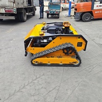 Cortadora de Césped Robótica con Control Remoto, Aprobada por CE y EPA, para Todo Tipo de Terreno, con Orugas de Goma para Agricultura
