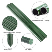 Le cadre fixe de tige de support d'escalade de plante horticole convient à la plantation de jardin légumes fleurs diamètre 8mm longueur 60cm